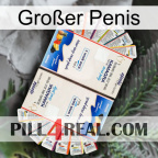 Großer Penis kamagra1